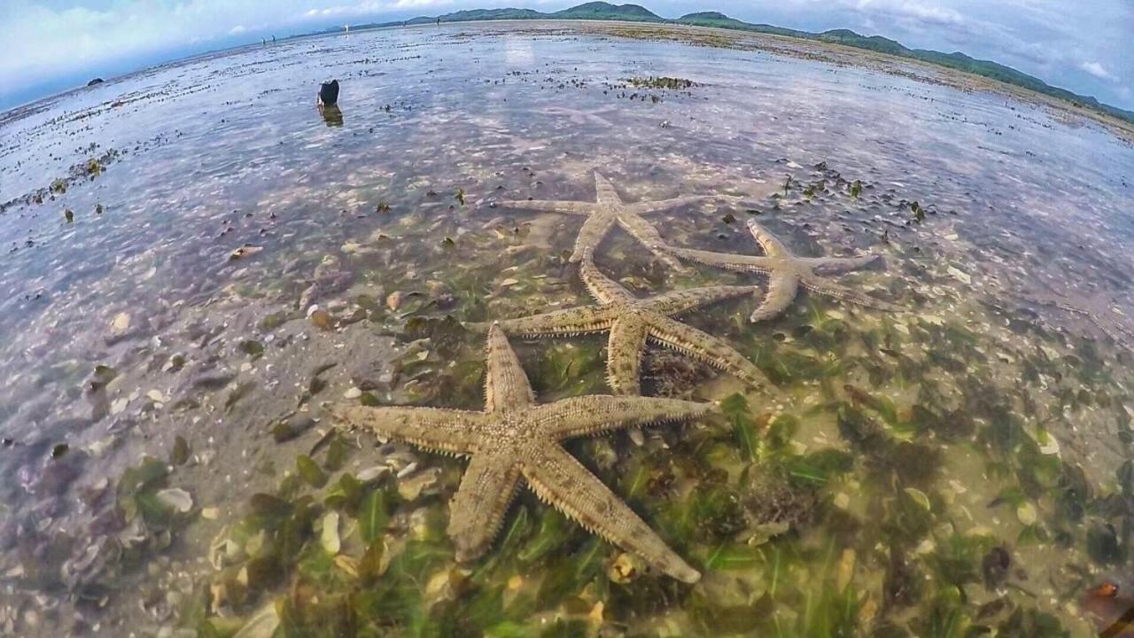 Bankruchaem Homestay Kohpu Ko Pu 外观 照片